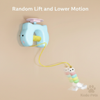 Feature Card - Motion